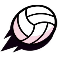 Volley Brawl in Nulls Brawl