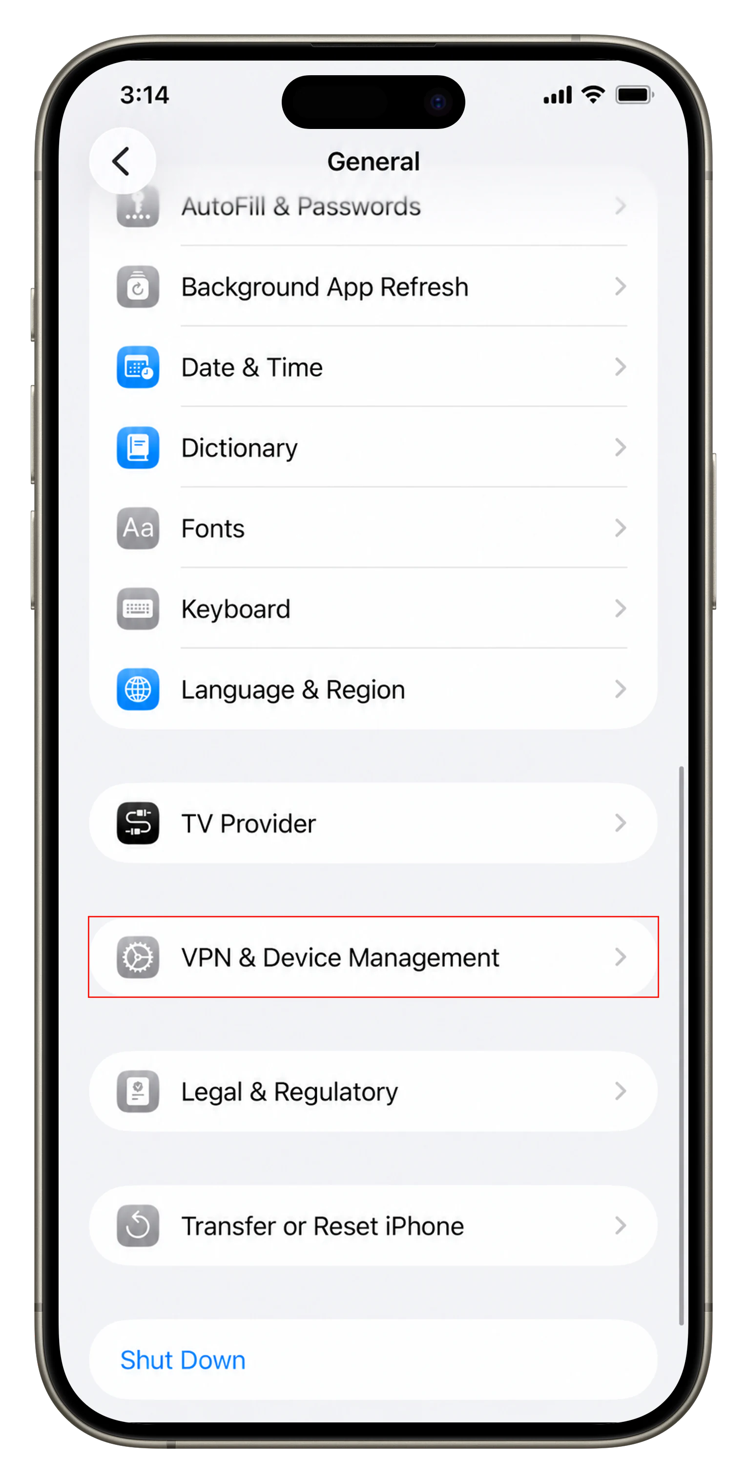 Apple-ID eingeben
