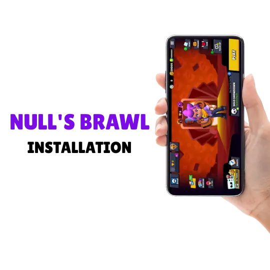 Nulls Brawl Installationsschritte